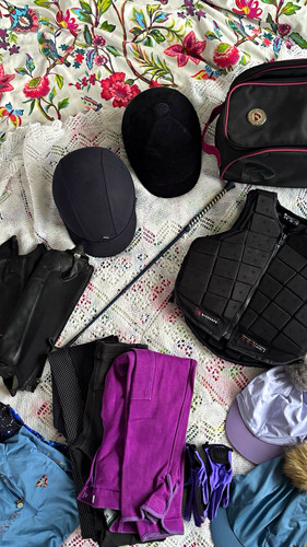 Horse riding beginners starter - horse,