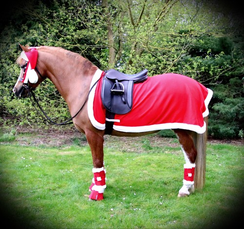 Santa horse pony - pony, christmas