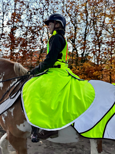 Evoequine horse riding viz - horse, hi-viz