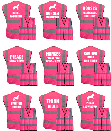 Horse riding vis - horse,