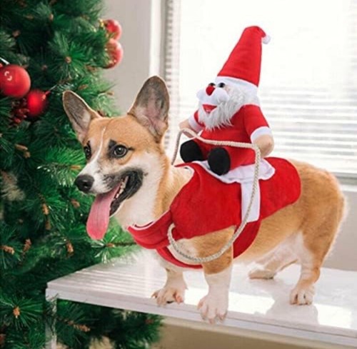 Christmas pet clothes running - clothes,