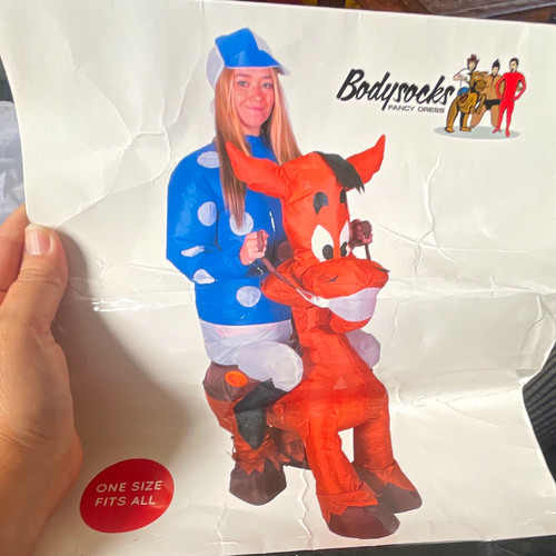 Bodysocks inflatable ride - bodysocks,