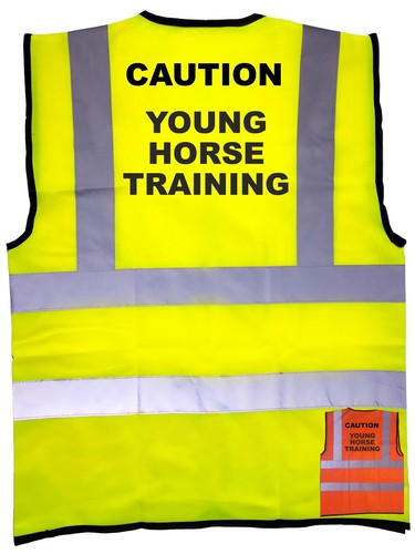Young horse training print - young,