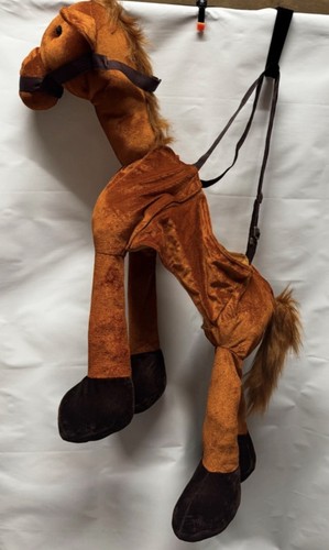Children horse fancy - fancy, dress