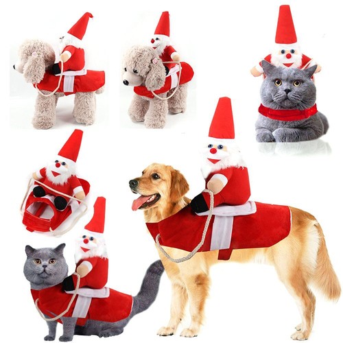 Christmas santa claus riding - christmas,