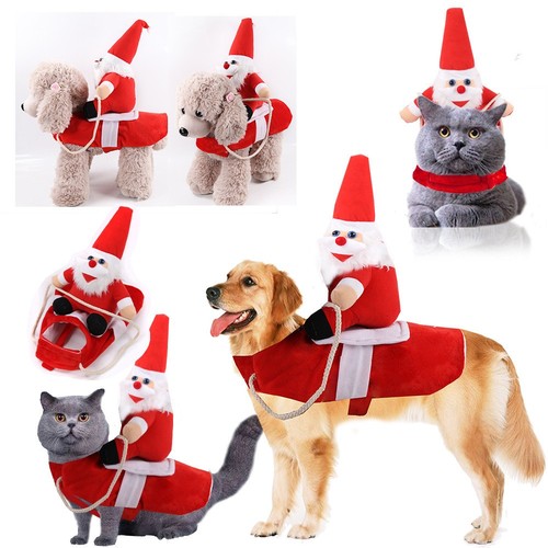 Christmas santa claus riding - santa,